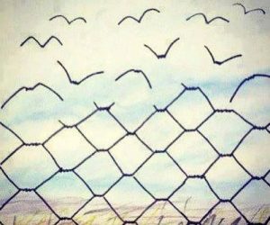 A proposito della psicoterapia psicoanalitica interpersonale